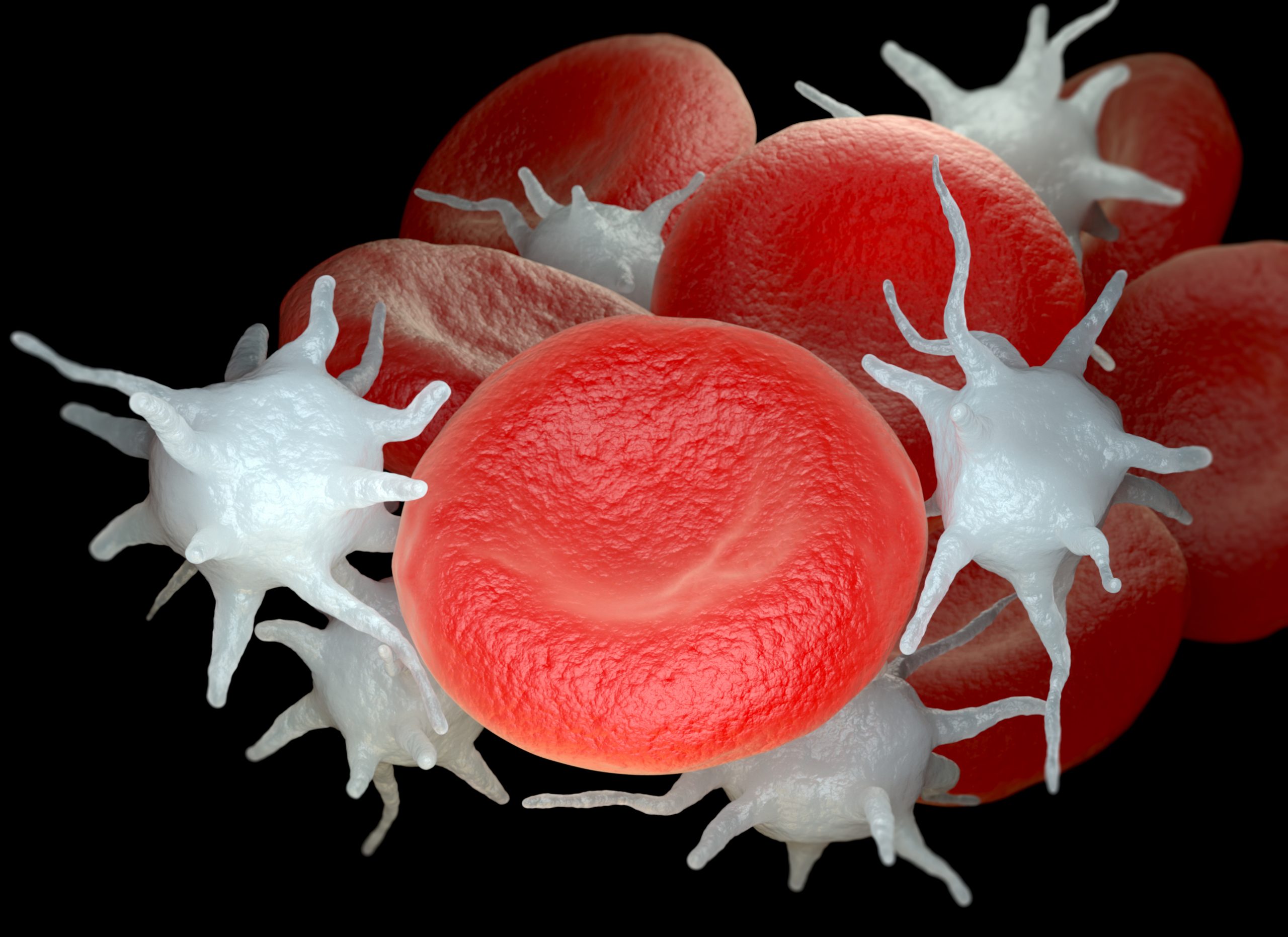 red blood cells and platelets mixed together