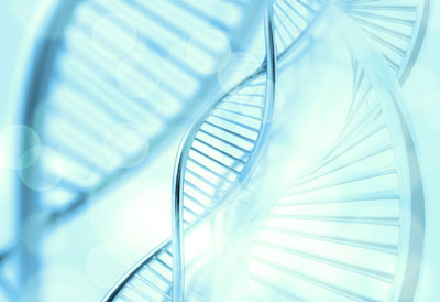 retinoblastoma gene