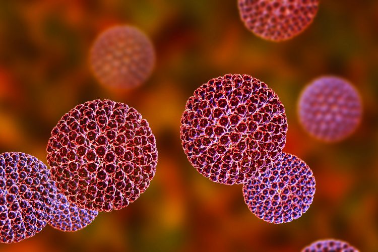 rotavirus particles in pink on a red background
