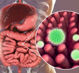 rotavirus depiction image