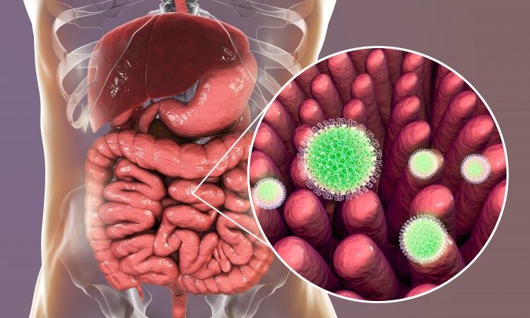 rotavirus depiction image