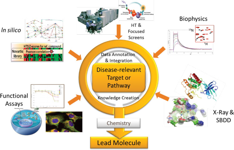 Figure 1: Integrated lead discovery: a project perspective. Synergy between lead discovery approaches