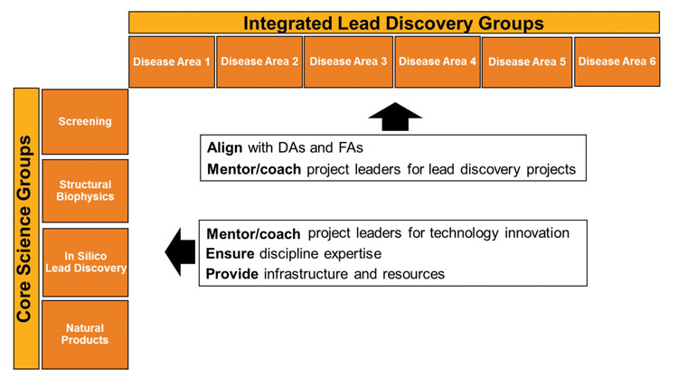 Figure 2: A new lead discovery organization. A matrix with focus on projects and on scientific disciplines