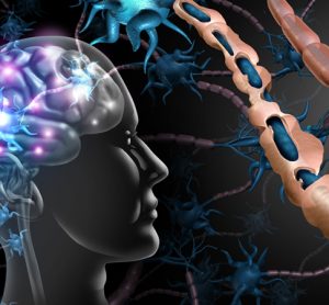 Multiple Sclerosis - News, Articles, Whitepapers - Drug Target Review Multiple Sclerosis - News, Articles, Whitepapers - Drug Target Review
