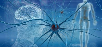 sensory neurons