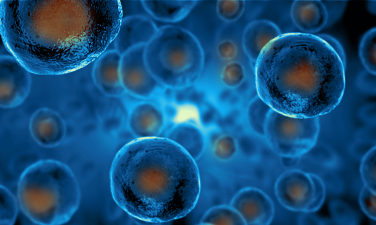 stem cells with blue background
