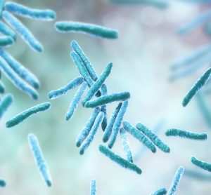 M. tuberculosis