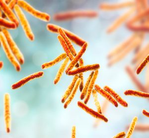 Mycobacterium tuberculosis