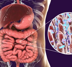 Gut with microbiome closeup