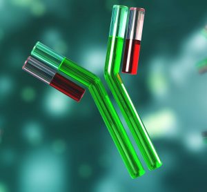 Antibody for OCD