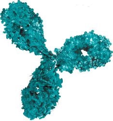 Blue antibody