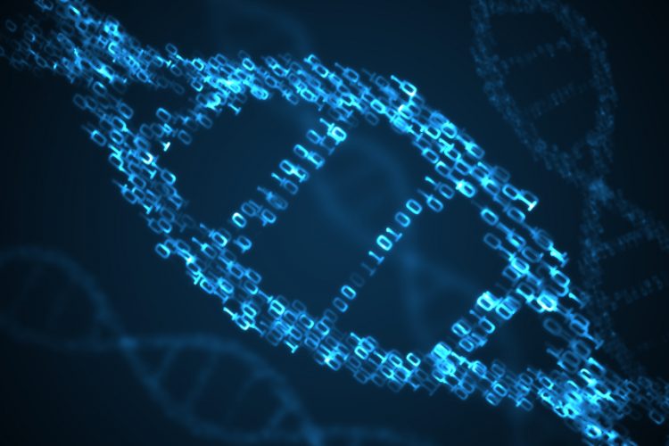 DNA methylation prediction