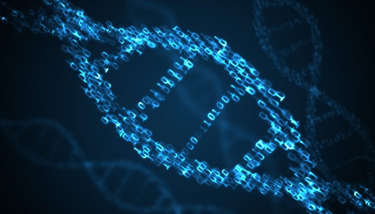 DNA methylation prediction