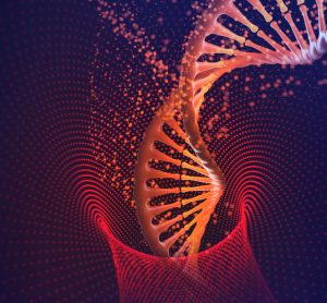 Genome - DNA