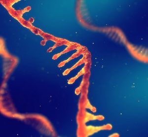 Orange RNA molecule on blue background