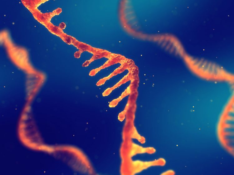 Orange RNA molecule on blue background