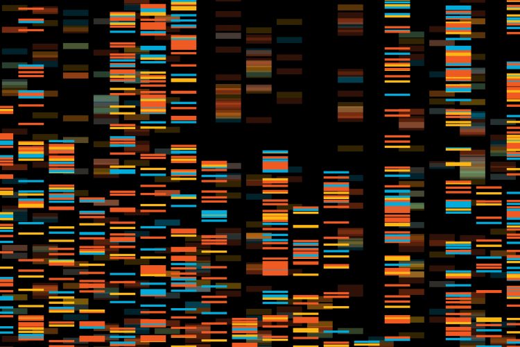 Genomics - HSV-1 genome