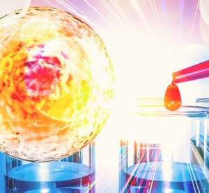 Stem cell discovery
