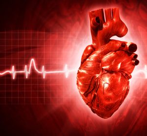 heart