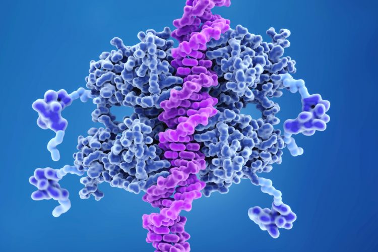 p53 binding to DNA