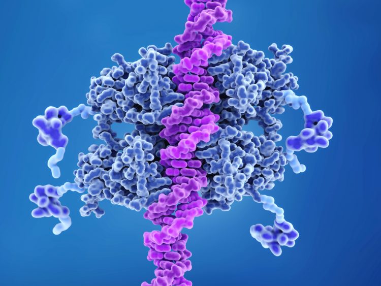 p53 binding to DNA