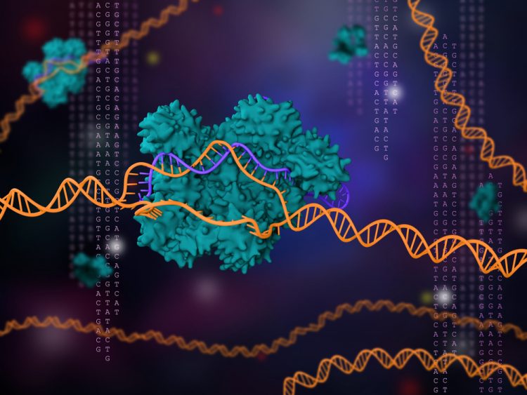 Nature Structural and Molecular Biology - News, Articles, Whitepapers - Drug Review