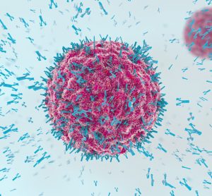 Antibodies attacking bunyavirus