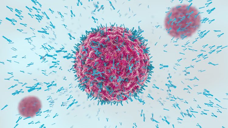 Antibodies attacking bunyavirus