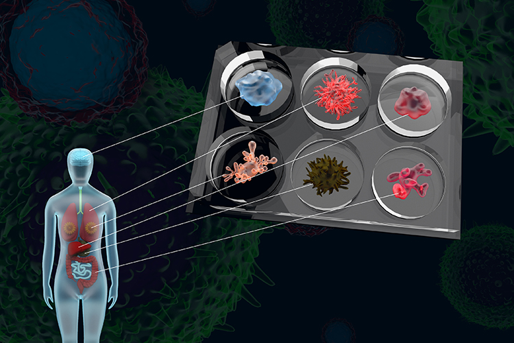 How 3D biology is shaping the future of drug discovery