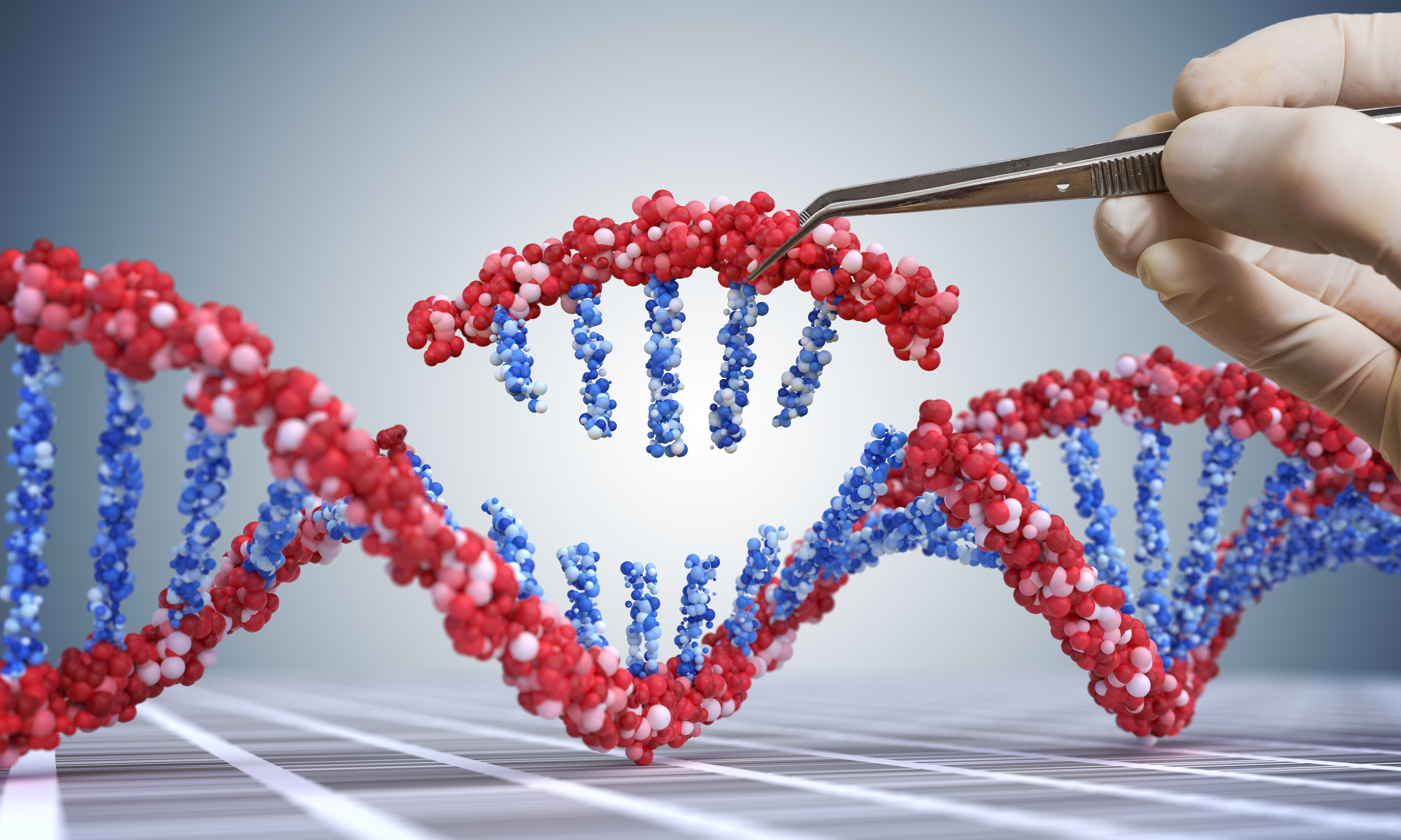 3D illustration of a DNA double helix with a missing segment being held by tweezers, symbolising genetic engineering and CRISPR gene editing.