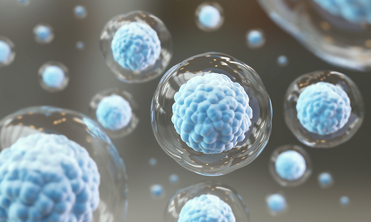 3d rendering of Cellular Therapy and Regeneration, microscope of cell, Embryonic stem cells background.