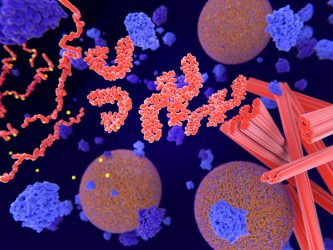 Tau proteins aggregating