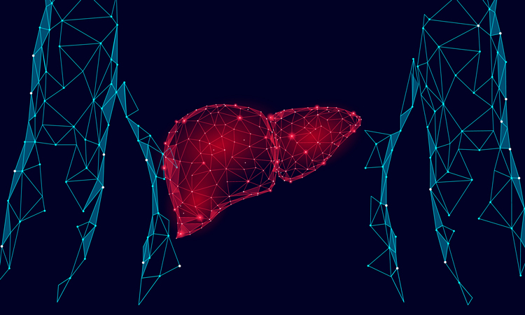 Liver algorithm