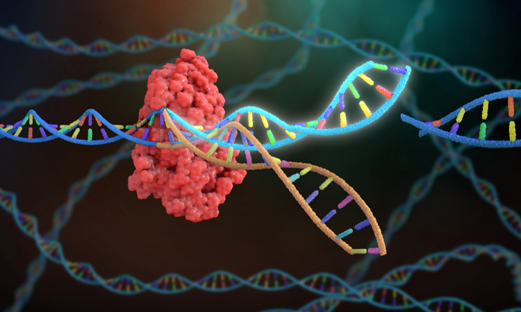 Fictional animation of gene editing technology