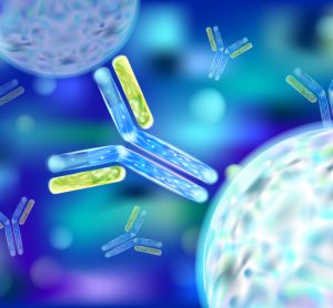 Antibodies