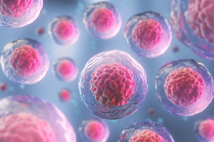 Cardiac proarrhythmic risk assessment using human-induced pluripotent stem cell-derived cardiomyocytes