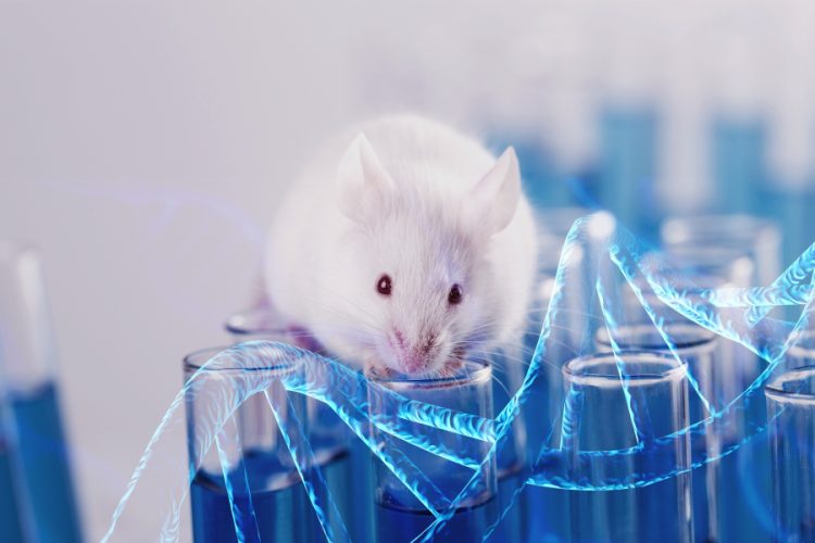 Mouse on lab tubes with DNA molecule in background