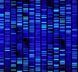 sequencing image
