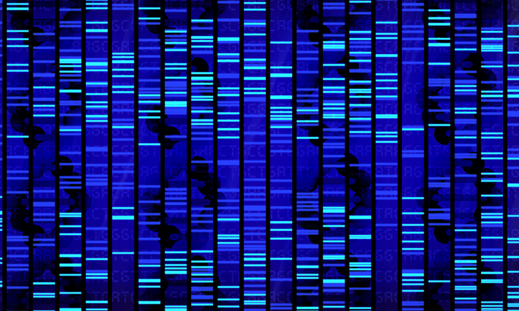 sequencing image