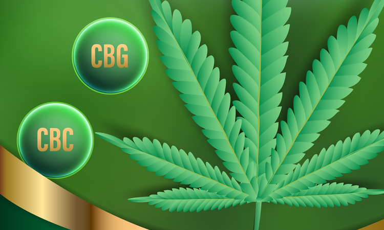 CBC and CBG nest to cannabis leaf