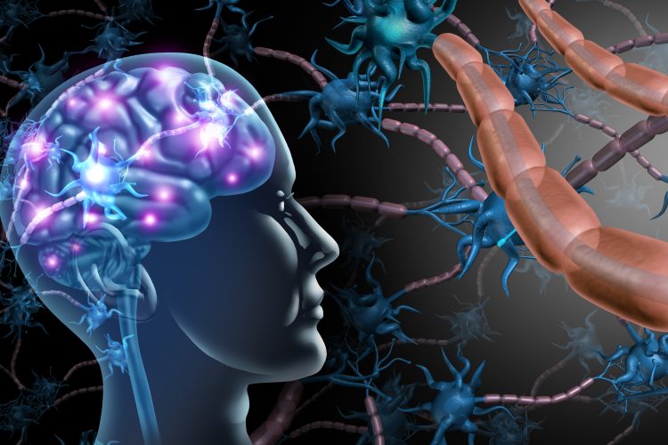 Illustration of a human brain and neurons with damaged and healthy myelin sheaths, representing multiple sclerosis and demyelination in the central nervous system.
