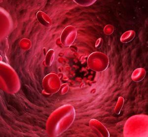 Flowing red blood cells