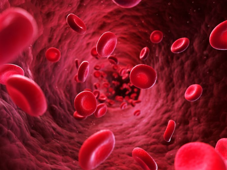 Flowing red blood cells