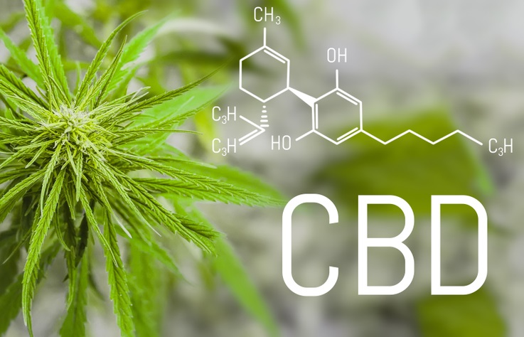 Cannabidiol (CBD)