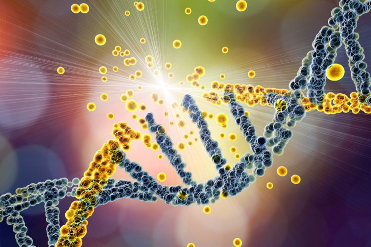 Damaged DNA molecule