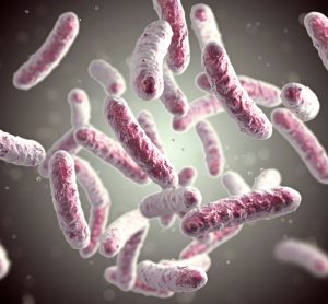 Pink microbes on black background