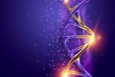 Purple DNA