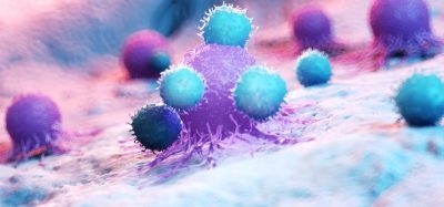 Immune cells attacking cancer tumour