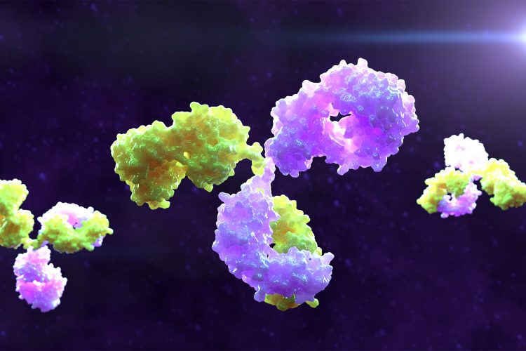 3D-rendered illustration of bispecific antibodies floating against a dark, starry background. The antibodies have a complex, Y-shaped structure with smooth, irregular surfaces colored in vibrant shades of green, yellow, and purple, highlighting different binding regions.