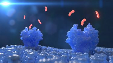 Lipids and cell membrane